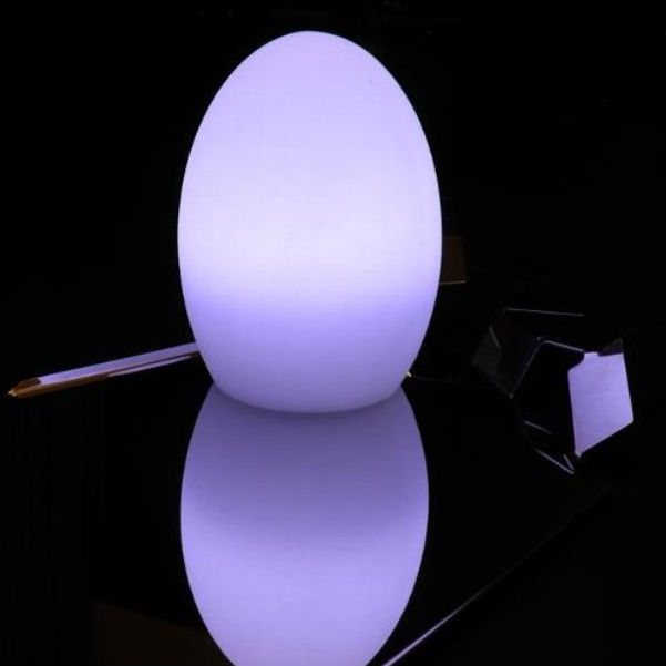 LED Egg Lamp (different size)
